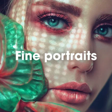 Fine Portraits LUTs