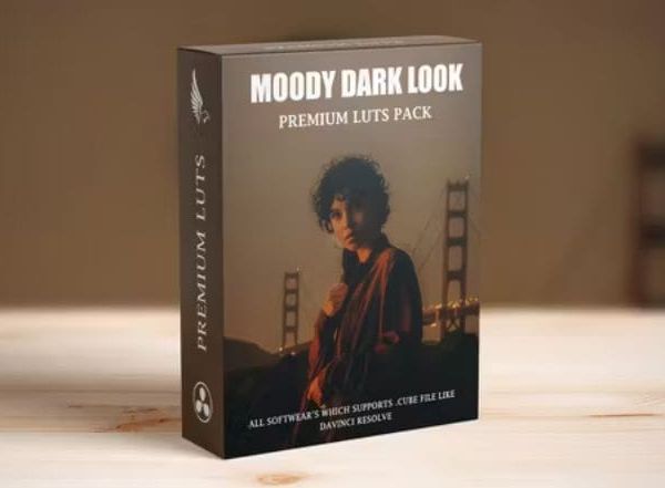 Dark Aesthetic Urban Moody Landscape Film Look Cinematic LUTs