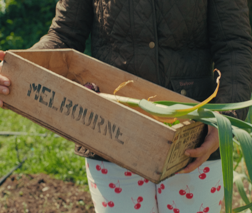 KODAK 2393 YRGB POWERGRADE