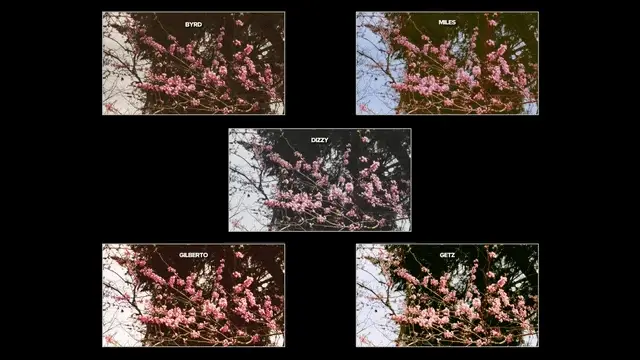 Vintones Vintage Film LUTs