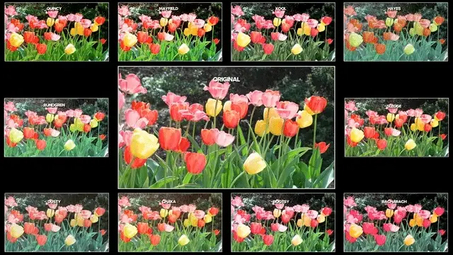 Vintones Vintage Film LUTs