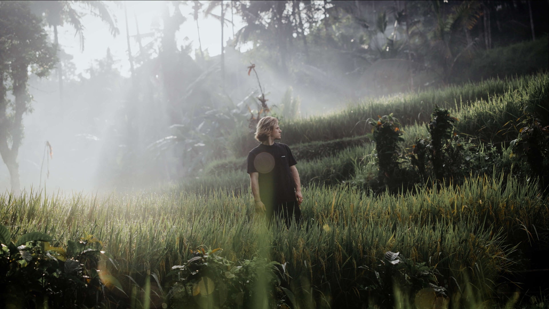 Cinematic Video LUTS By Watzac