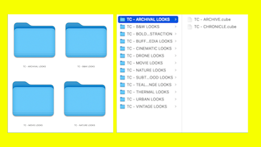 Tropic Color Best of LOOKs