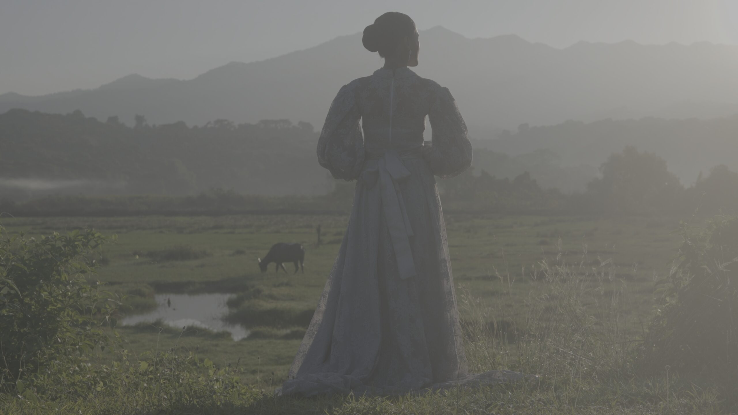 Kodak 2383 Inspired Cinematic LUTs