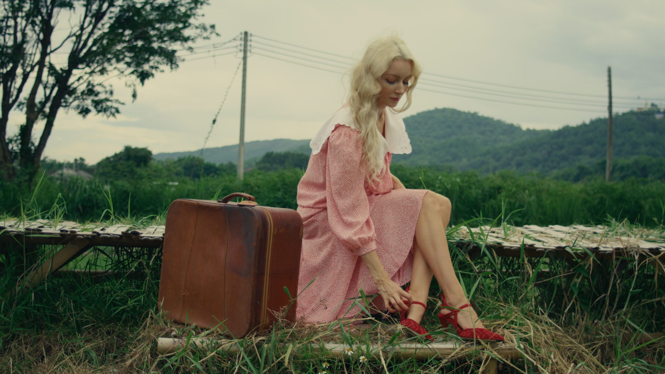 Kodak 2383 Inspired Cinematic LUTs