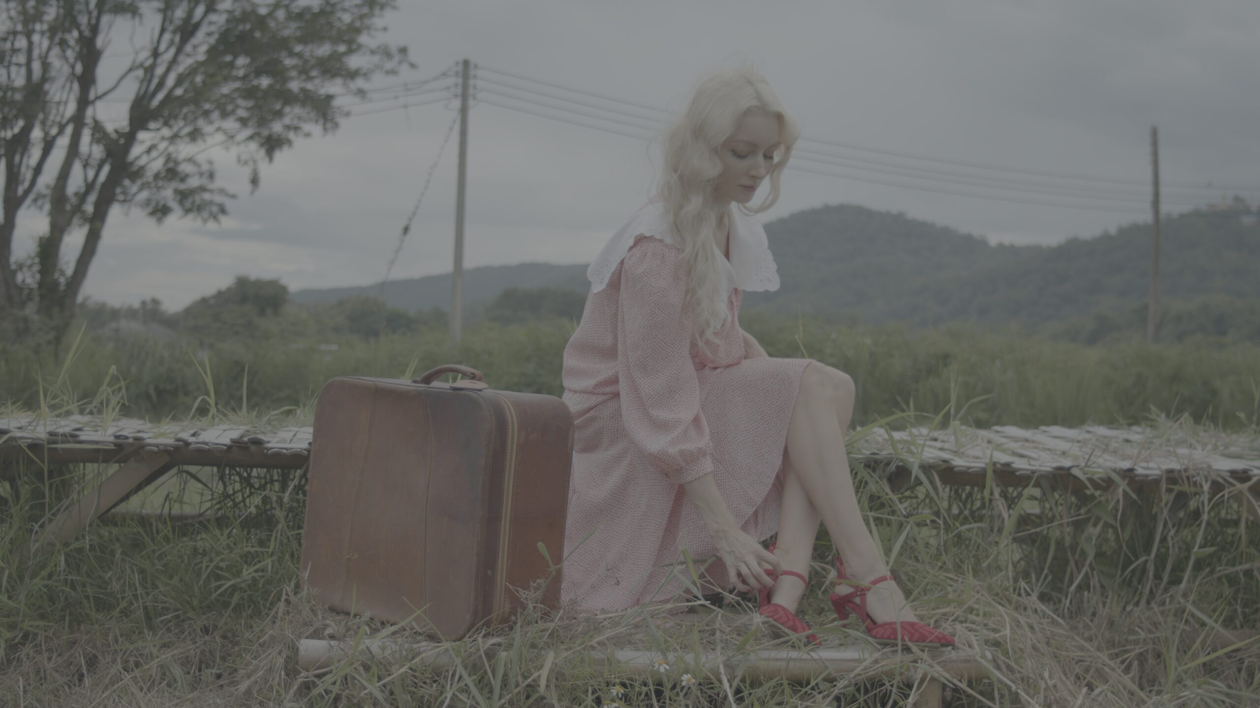 Kodak 2383 Inspired Cinematic LUTs