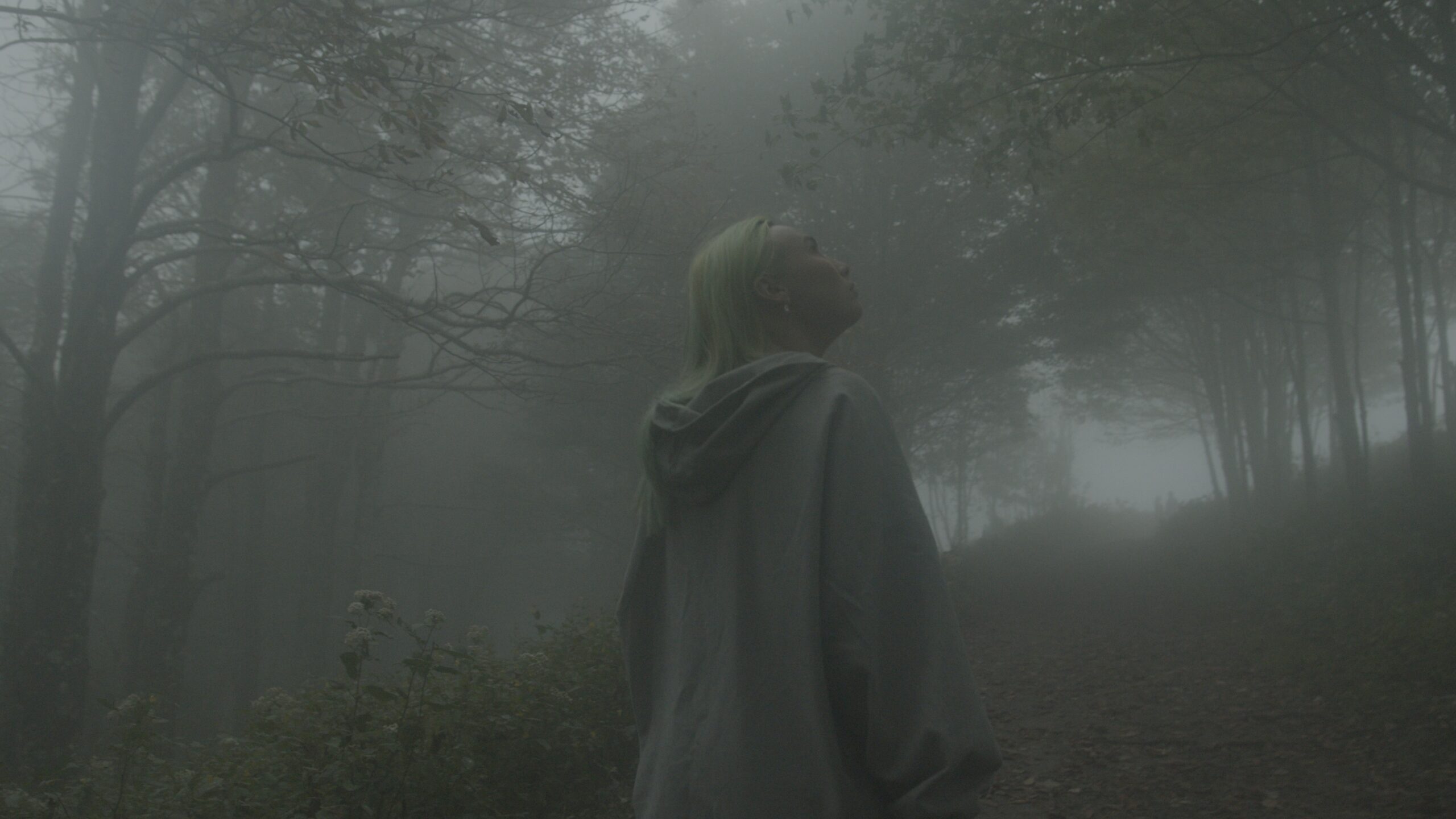 Kodak 2383 Inspired Cinematic LUTs