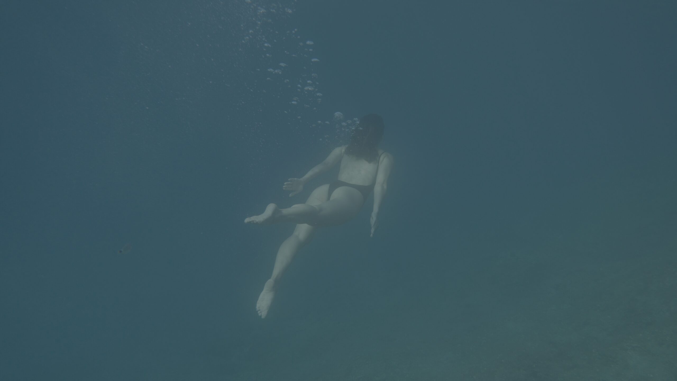 Kodak 2383 Inspired Cinematic LUTs