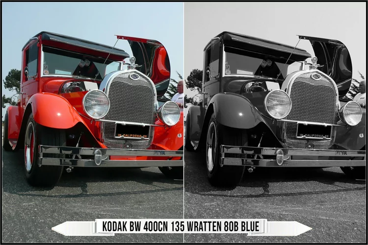 Eastman Kodak Black and White Films LUTs