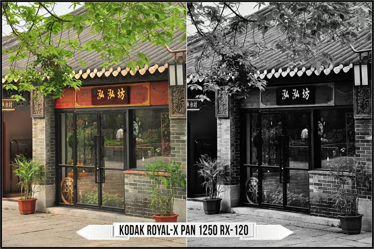 Eastman Kodak Black and White Films LUTs