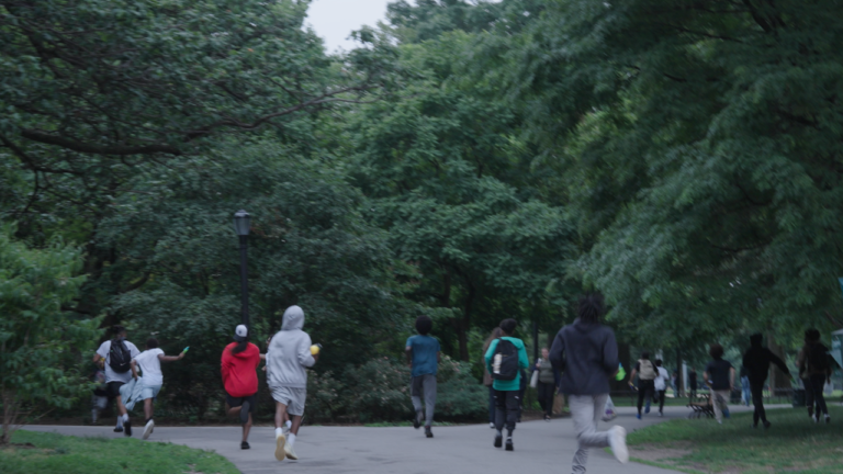 FilmVision V2 Powergrade