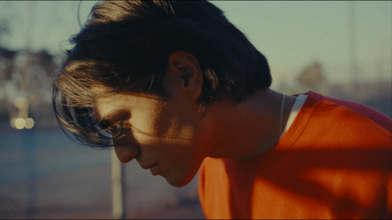 FilmVision V2 Powergrade (15)