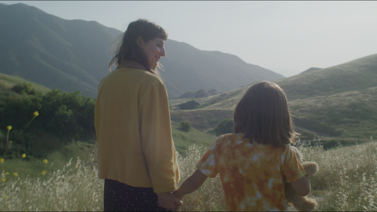 FilmVision V2 Powergrade