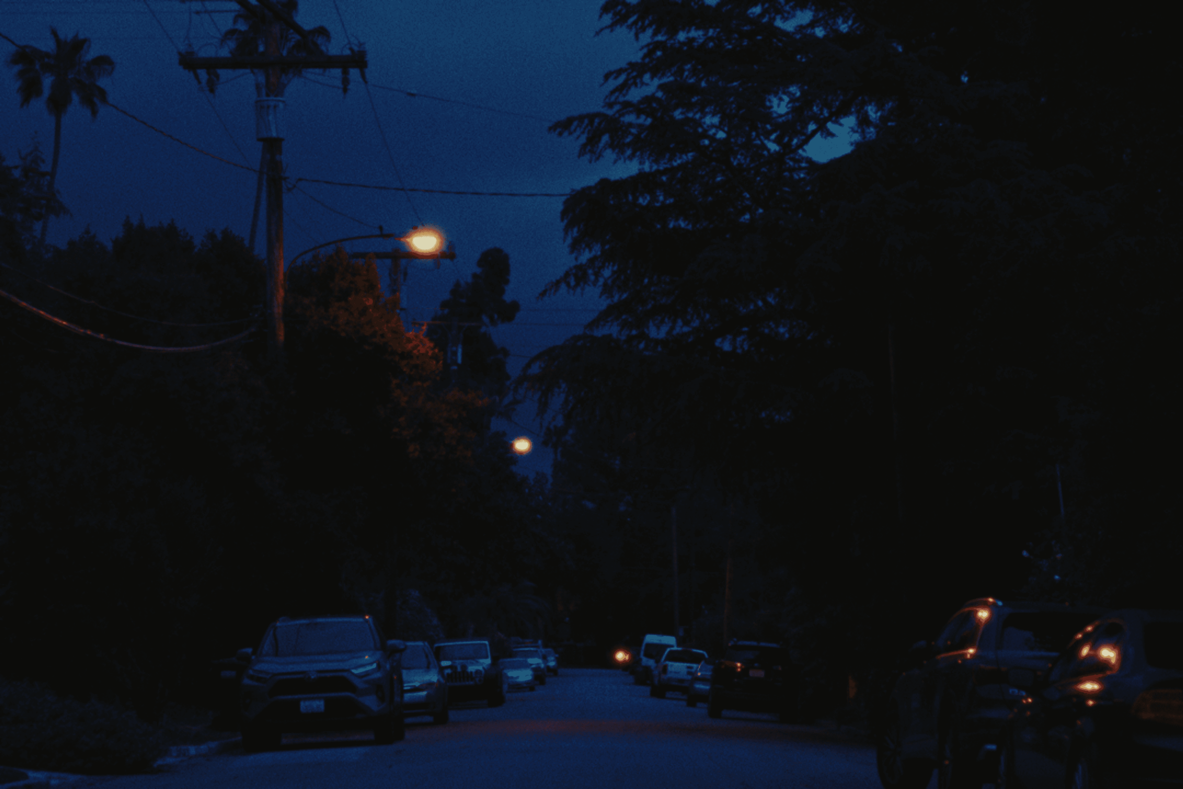 FilmVision V2 Powergrade (30)