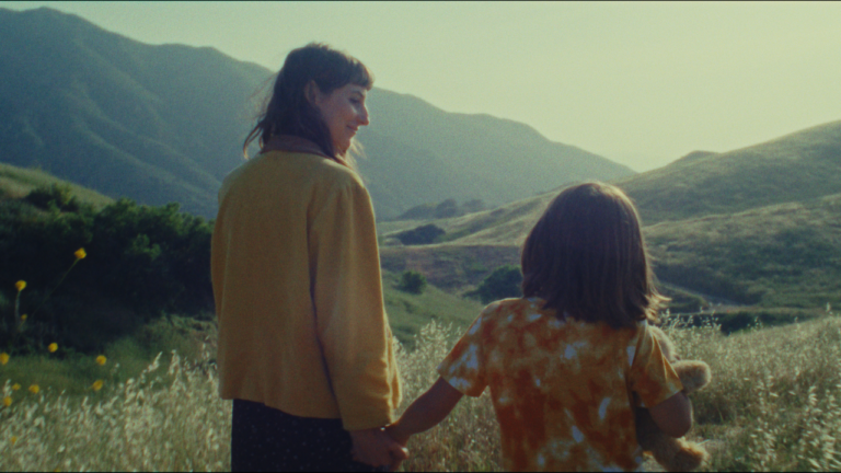 FilmVision V2 Powergrade