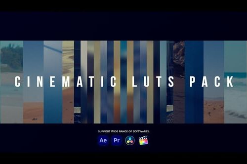 Cinematic LUTs for Premiere Pro