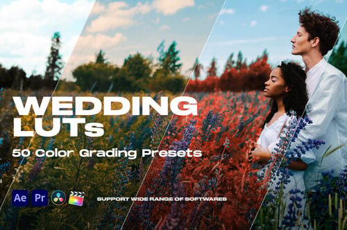 Colorify Wedding LUTs