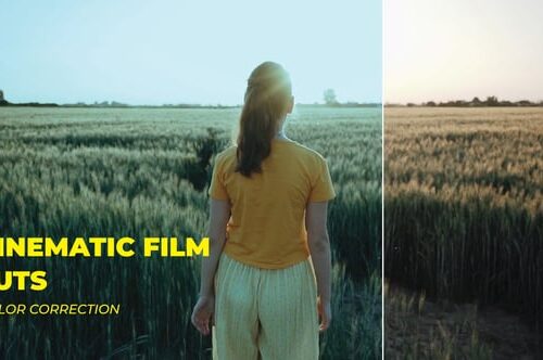 LUTs Cinematic Film