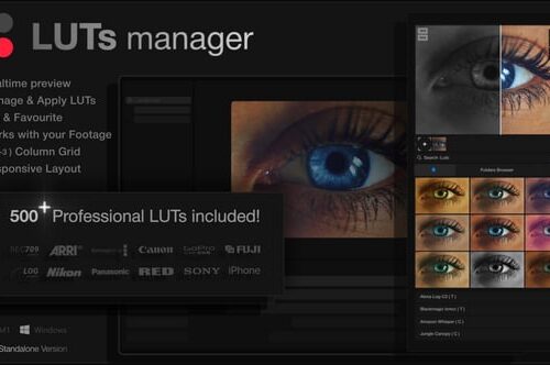 LUTs Manager Real Time Bulk Previews Tool and 500 LUTs for Effortless Professional Color Grading