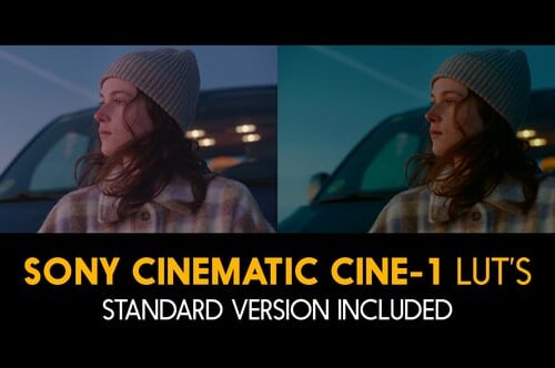 Sony Cinematic Cine 1 and Standard LUTs for Final Cut