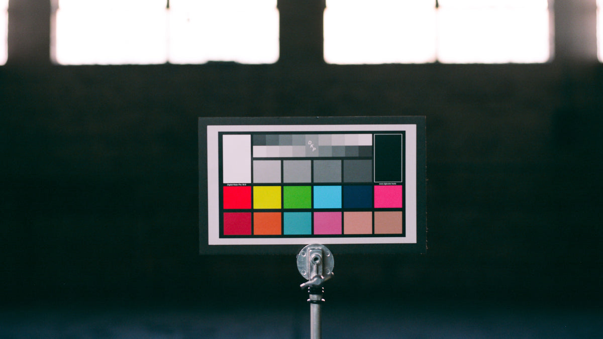 CANON CONVERSION LUTS (C70/C200/300/500) // (R/R5/R5C) // (C-LOG2)