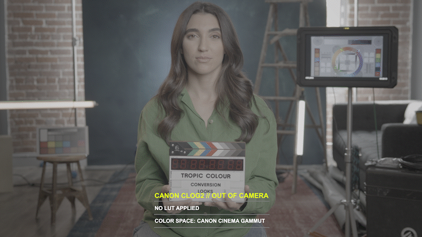CANON CONVERSION LUTS (C70/C200/300/500) // (R/R5/R5C) // (C-LOG2)