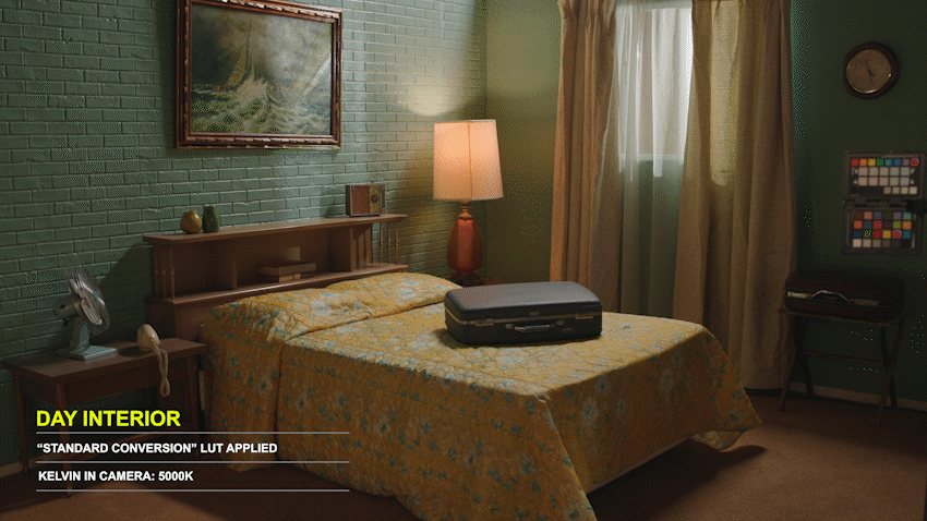 CANON CONVERSION LUTS (C70/C200/300/500) // (R/R5/R5C) // (C-LOG2)