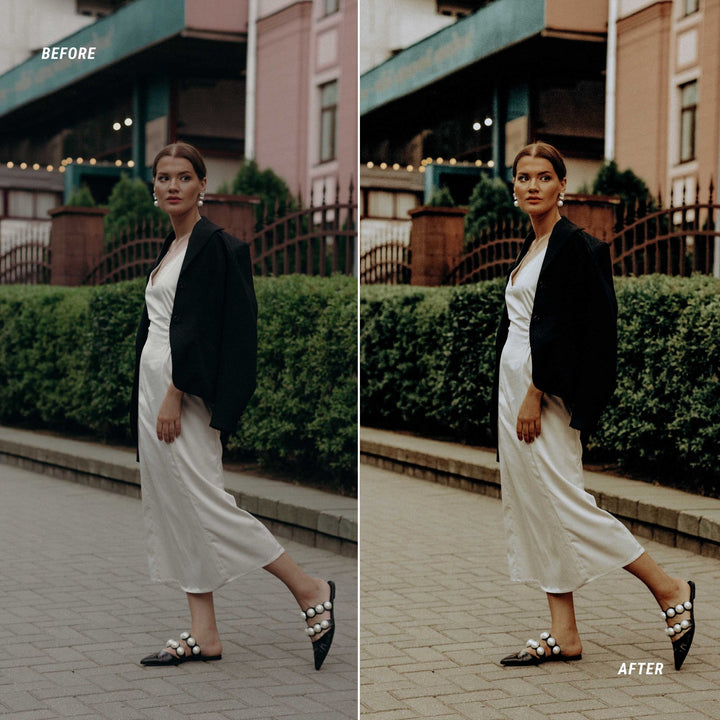 Earth Tones Color LUTs