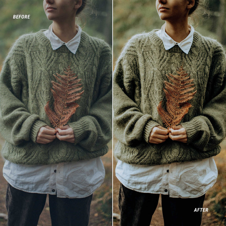 Earth Tones Color LUTs