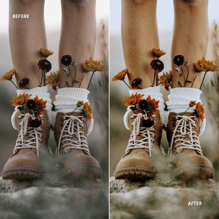 Earth Tones Color LUTs