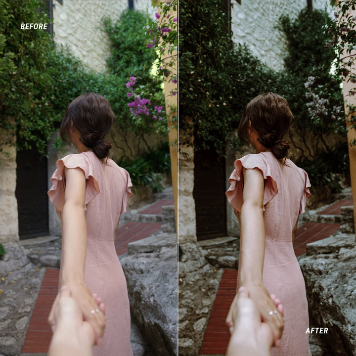 Earth Tones Color LUTs