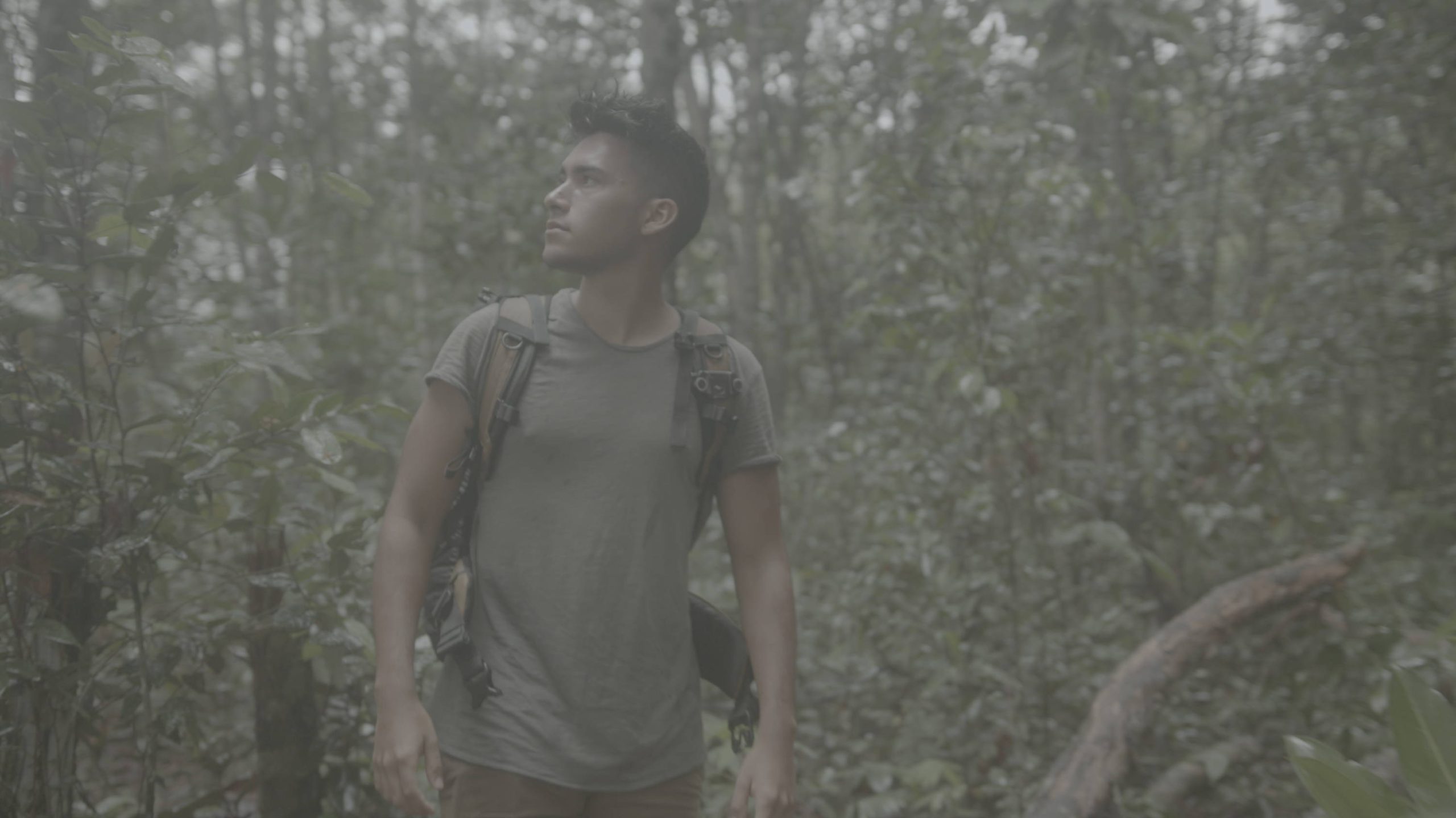 JustKay Blackmagic LUT's Gen 5