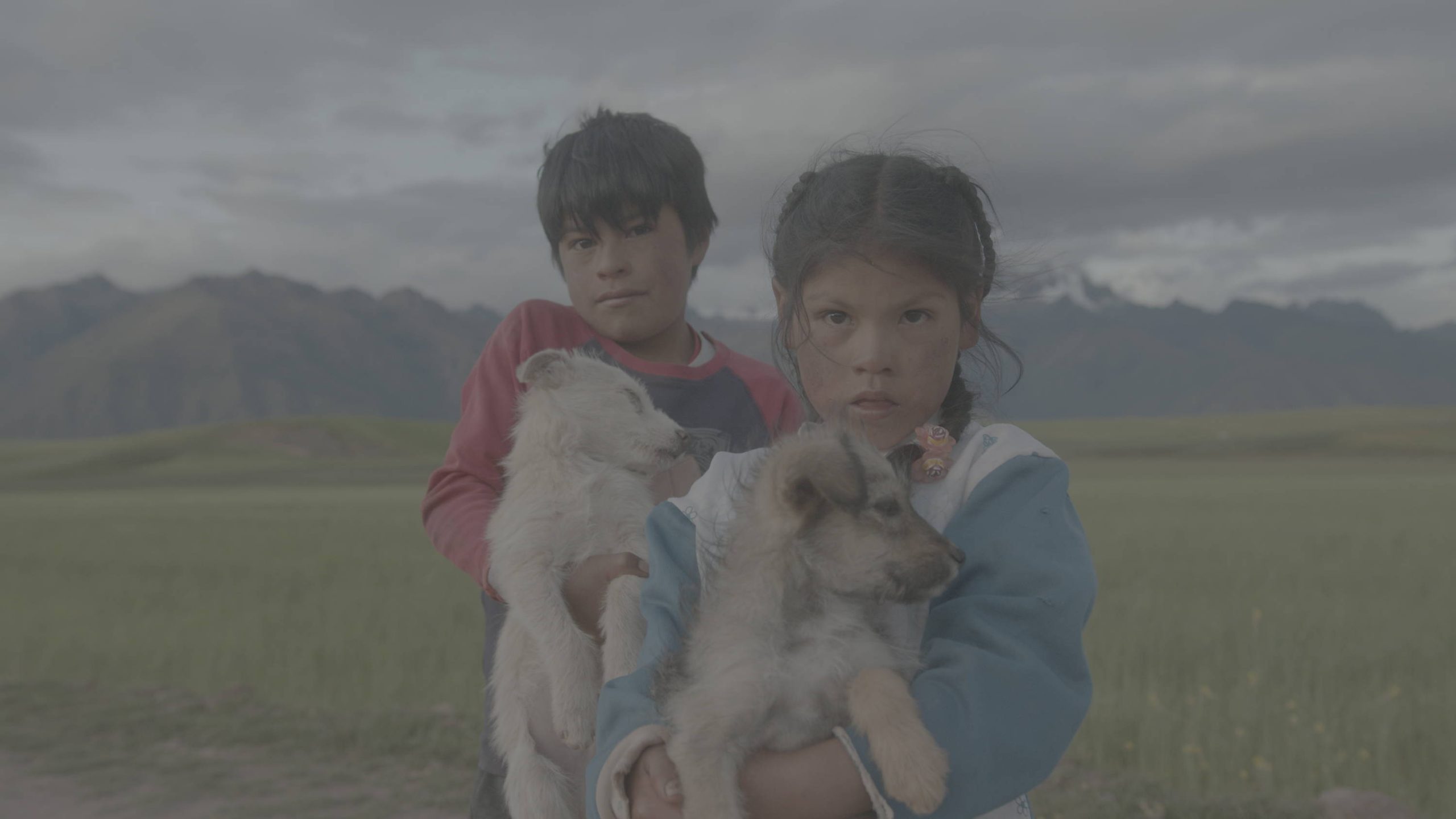 JustKay Blackmagic LUT's Gen 5