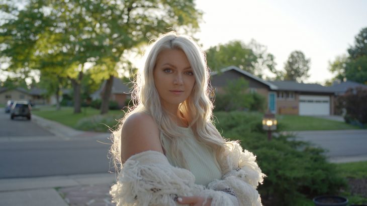 Panasonic BaseLUTs for V Log and V LogL