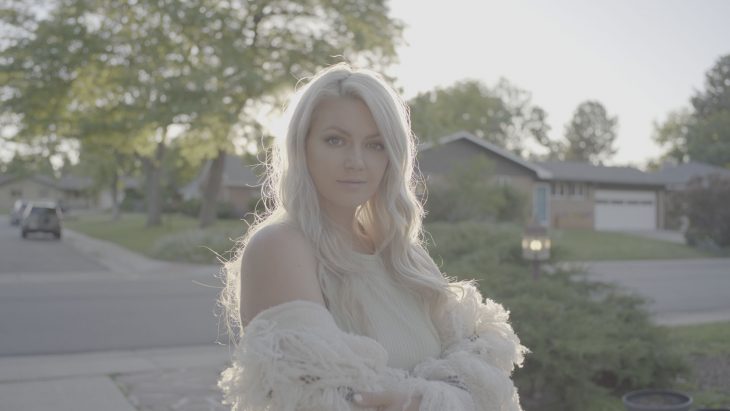 Panasonic BaseLUTs for V Log and V LogL