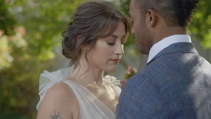 Panasonic BaseLUTs for V Log and V LogL