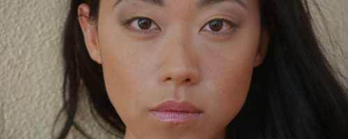 VistaLUT by CinePlus