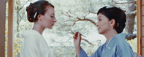 VistaLUT by CinePlus