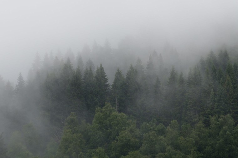 Master Collection 3 Capture One Style packs