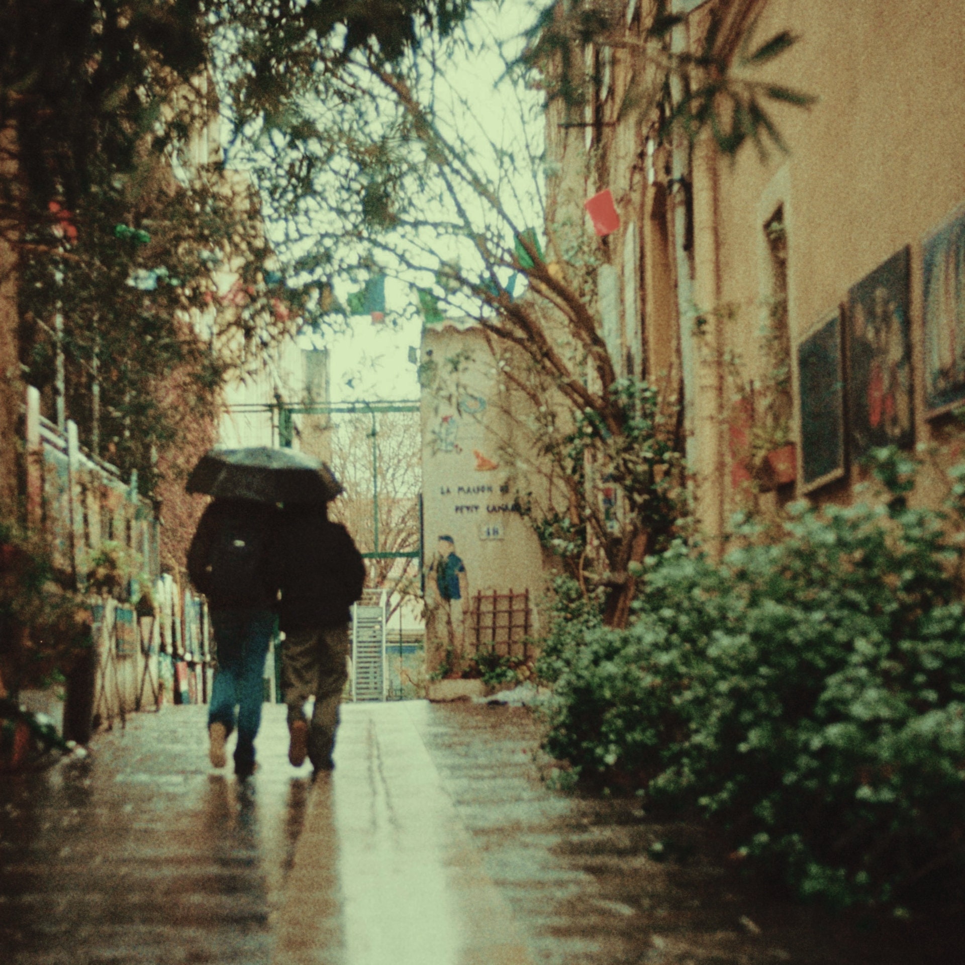 LUT Super16 Fuji FPE 16MM Film Emulation