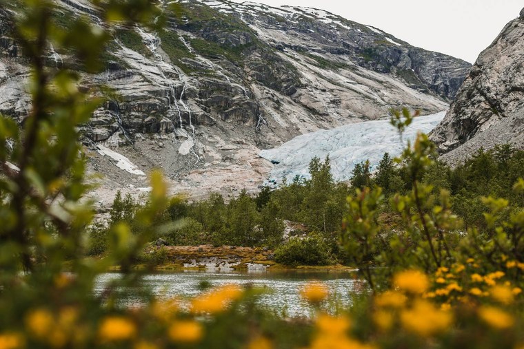 Master Collection 3 Capture One Style packs