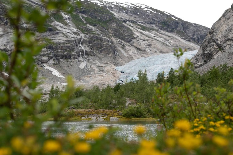 Master Collection 3 Capture One Style packs