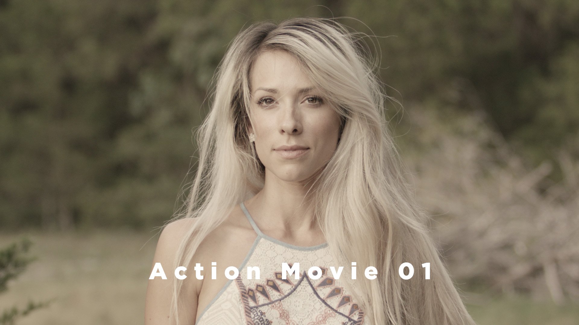 Theo Miesner Swiss Video LUTs