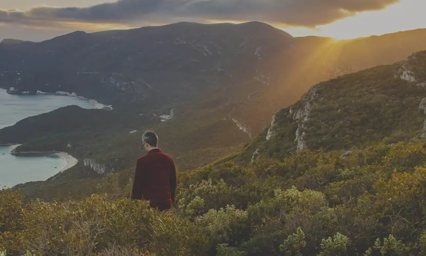 50 Expert mLUTs Film 3