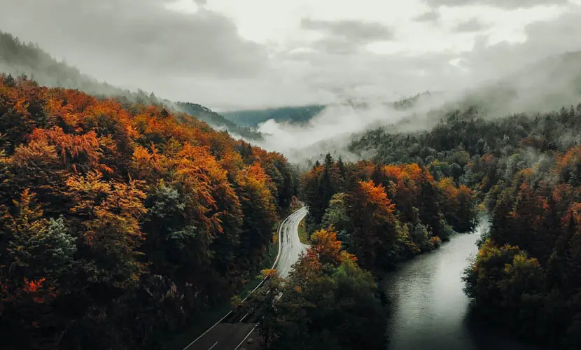 50 Expert mLUTs Film 3