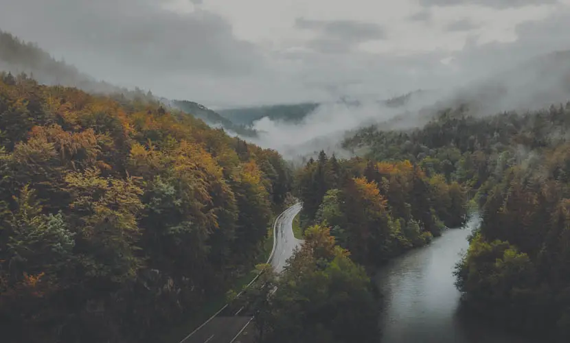 50 Expert mLUTs Film 3