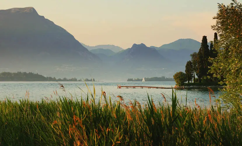 50 Expert mLUTs Film 3