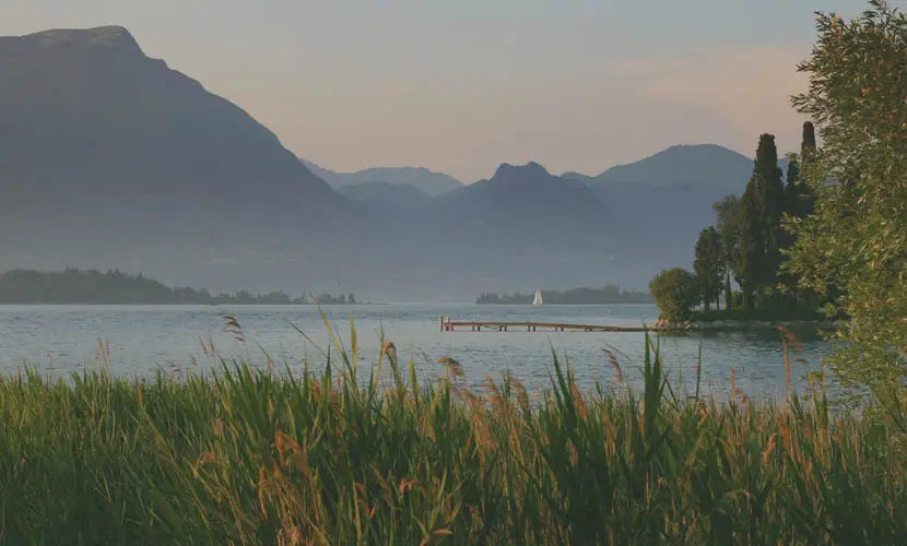 50 Expert mLUTs Film 3