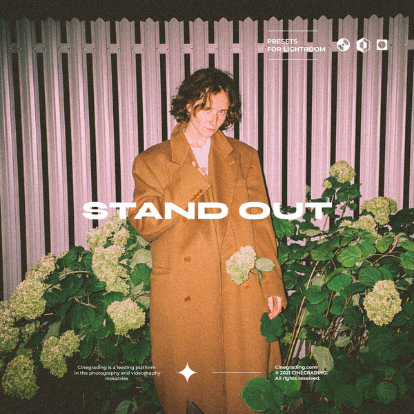 Cine Disposable Camera Presets