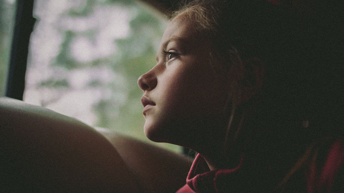 Cine Disposable Camera Presets